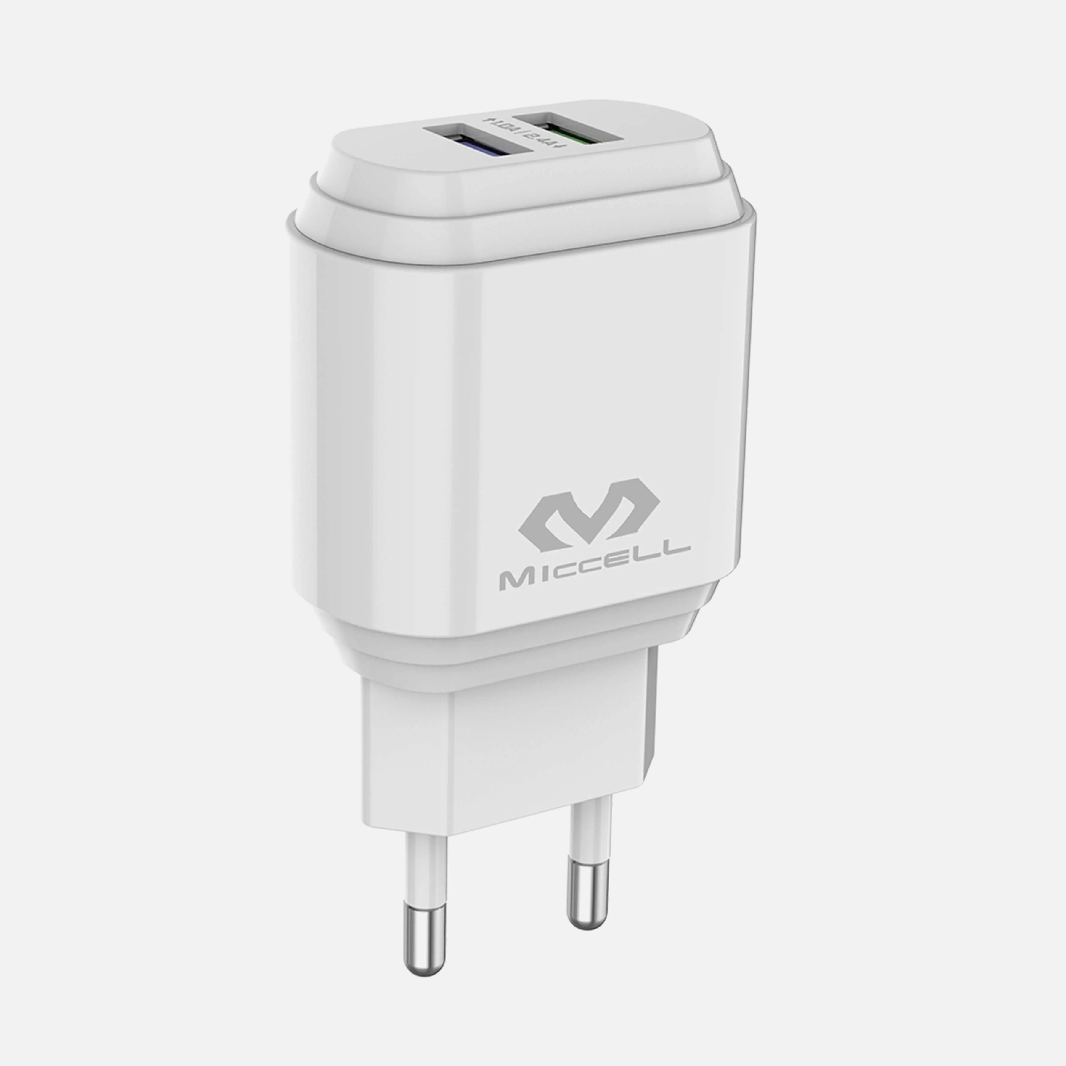 WALL CHARGER (12W)